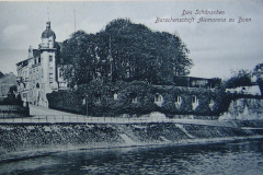 Ansichtskarte-Alemannia-Bonn-Schaenzchen
